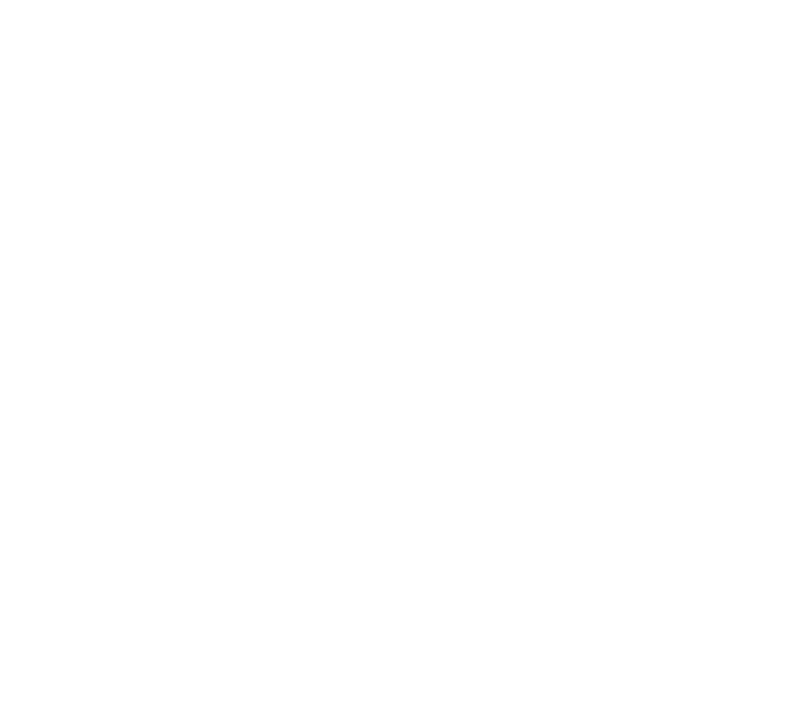 zm logo
